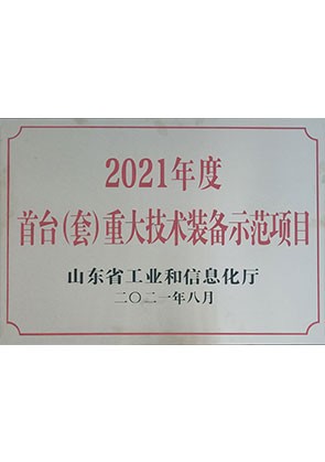 山東省首臺（套）重大技術(shù)裝備示范項目
