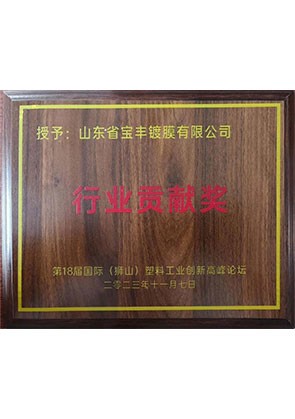 行業(yè)貢獻(xiàn)獎
